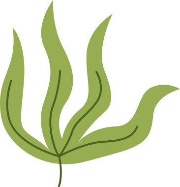 Tropikal Yaprak El Çizimi Vektör İllüstrasyonu