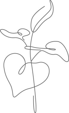 Ayçiçeği Şube Çizgisi Sanat Vektörü İllüstrasyonunu Bırakıyor