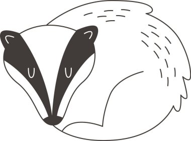 Elle çizilmiş Rakun vektör çizim