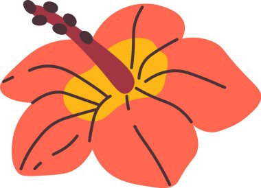 Tropikal Egzotik Çiçek Vektörü İllüstrasyonu