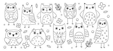 Sevimli baykuşlar ve baykuşçuklar el çizimi çizimleri, çocuksu desenli düz bir set. Kawaii bilge orman kuşu dekoratif taslak çizimi vektör çizimi monokrom tarzında. Kartpostallar için şablon