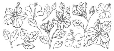 Hawaii orman çiçekleri tek renkli çizim setiyle çiçek açarlar. Orman çiçekli bitki desenli botanik çizim tasarımı. Güzel çiçek elementleri vektör illüstrasyonu