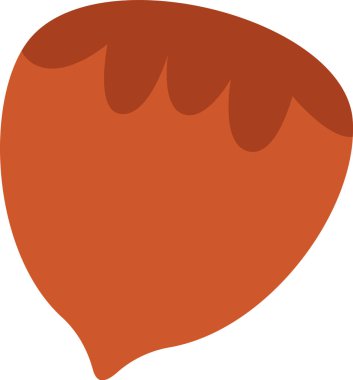 Meşe Palamudu Bitkisi Vektör İllüstrasyonu