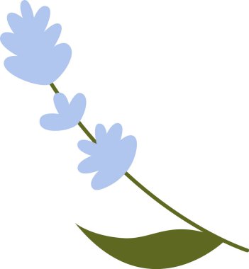 Lavanta Yaprağı Vektör İllüstrasyonu