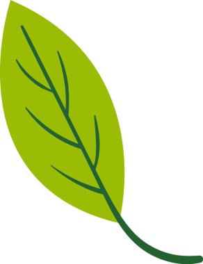 Yaprak Salatası Yeşillik Vektörü İllüstrasyonu