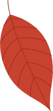 sonbahar ağaç yaprak vektör çizim