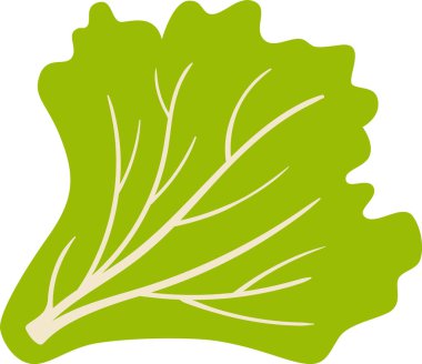 Yaprak Salatası Yeşiller Yenilebilir Bitki Vektörü İllüstrasyonu