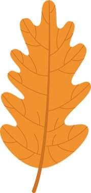 Autumn Oak Yaprak Vektörü İllüstrasyonu