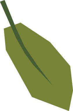 Ağaç Yaprağı El Çizim Vektörü İllüstrasyonu