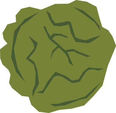 Lahana El Çekim Vektörü İllüstrasyonu