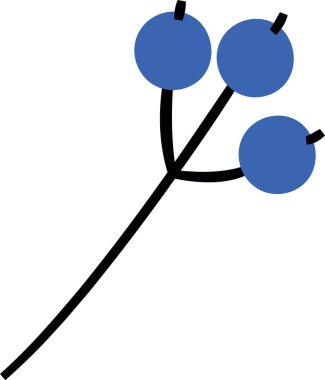 Böğürtlen Dalı El Çekim Vektörü İllüstrasyonu