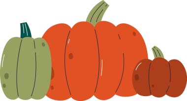 Pumpkins Sonbahar Sebzeleri Vektör İllüstrasyonu