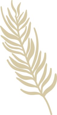 Firavun Ağacı Şubesi Vektör İllüstrasyonu