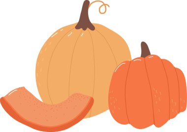 El Yazması Kabaklar Vektör Resmini Ayarla