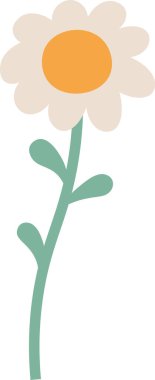 Kök Vektör Resimlerinde Papatya Çiçeği