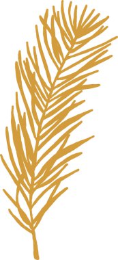 El Çizimi Çam Şubesi Vektör İllüstrasyonu