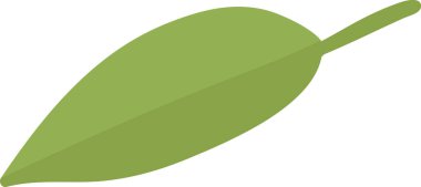 El Çizimi Yaprak Vektörü İllüstrasyonu