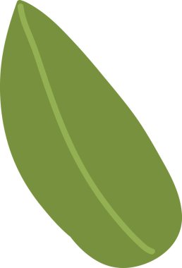 El Çizimi Yaprak Vektörü İllüstrasyonu