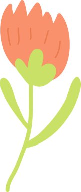 El Çizimi Çiçek Çiçeği Vektörü İllüstrasyonu