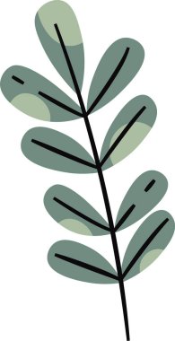 Okaliptüs Şube Vektörü İllüstrasyonunu Bırakıyor