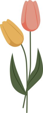 Lale Çiçekleri Buket Vektörü İllüstrasyonu