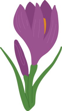 El yapımı Crocus Çiçek Vektörü İllüstrasyonu