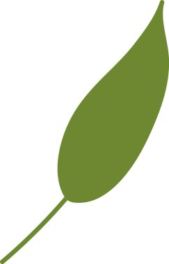 El Çizimi Yaban Çiçeği Yaprak Vektörü İllüstrasyonu