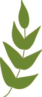 El Çizimi Yaban Çiçeği Şube Vektörü İllüstrasyonunu Bırakıyor