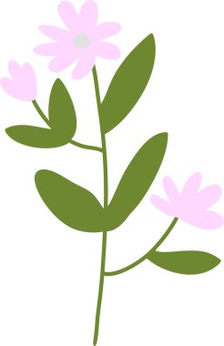 Basit El Çizimi Çiçek Vektörü İllüstrasyonu