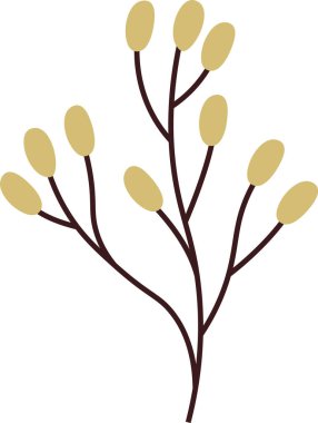 Bahar Böğürtlenleri Şube Vektörü İllüstrasyonu