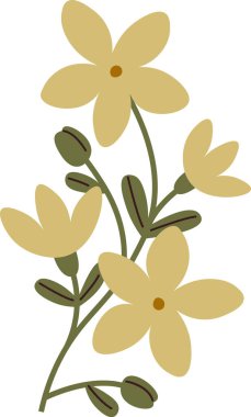 Çiçek Vektör İllüstrasyonlu Şube