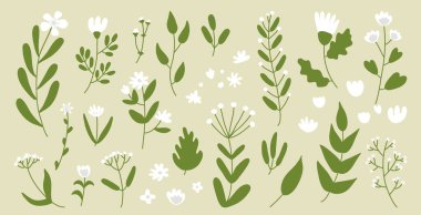 Yeşil yapraklı ve beyaz çiçekli basit çiçekler soyut botanik tasarım elementleri seti. Estetik süsleme dekoratif düzenleme, zarif bahar zamanı dekoratif koleksiyon vektörü illüstrasyonu