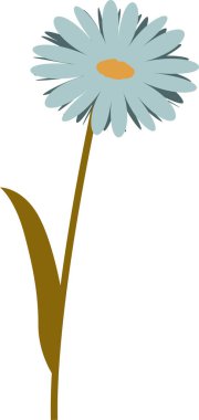 Kır Çiçeği Kök Vektör İllüstrasyonu