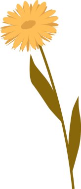 Kök Vektör Resimlerinde El Çizimi Yaban Çiçeği