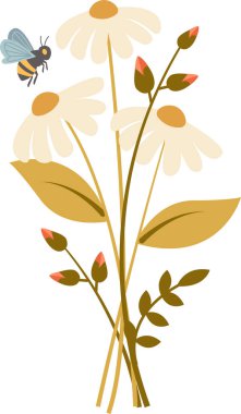 Arı Vektörü İllüstrasyonlu Papatya Çiçeği Buketi