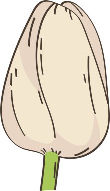 Lale Çiçeği Bud Vektör İllüstrasyonu