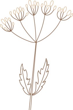 Yaban Çiçeği Çizgisi El Çekim Vektörü İllüstrasyonu