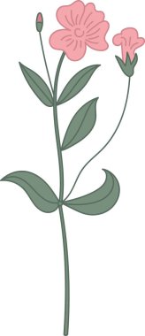 El yapımı Yaban Çiçeği Bitkisi Vektör İllüstrasyonu