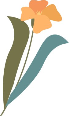 Haşhaş Çiçeği Eli Çizim Vektörü İllüstrasyonu