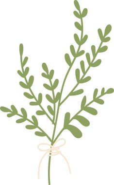 Fiyonk El Çizim Vektörü İllüstrasyonlu Çiçek Şubesi