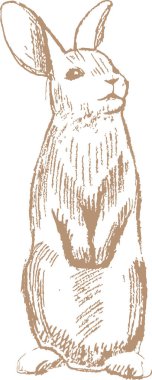 Çizgi Çizimi Paskalya Tavşanı Vektör İllüstrasyonu