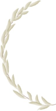 Suluboya Çiçek Şubesi Çerçeve Vektörü İllüstrasyonu