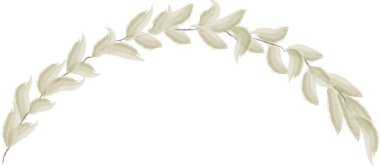 Suluboya Çiçek Şubesi Çerçeve Vektörü İllüstrasyonu