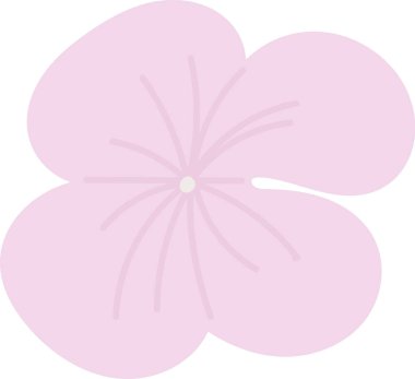 Hydrangea Çiçek El Çizim Vektörü İllüstrasyonu