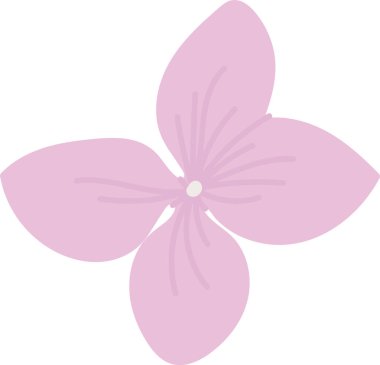 Hydrangea Çiçek El Çizim Vektörü İllüstrasyonu