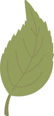 Çiçek Yaprağı El Çizim Vektörü İllüstrasyonu