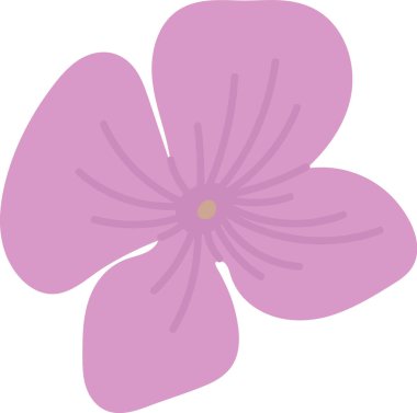 Hydrangea Çiçek El Çizim Vektörü İllüstrasyonu