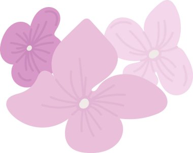 Ortanca Çiçekleri El Çizim Vektörü İllüstrasyonu