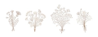 Yaban çiçekleri buketler açar, çiçek açan bitkiler bir sürü izole edilmiş romantik kompozisyon çizimi yapar. Zarif botanik çayır çiçekleri, şenlik çiçekleri sanat çevresi çizim vektör illüstrasyonu