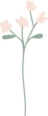 Yaban Çiçekleri Kök El Çekim Vektörü İllüstrasyonu